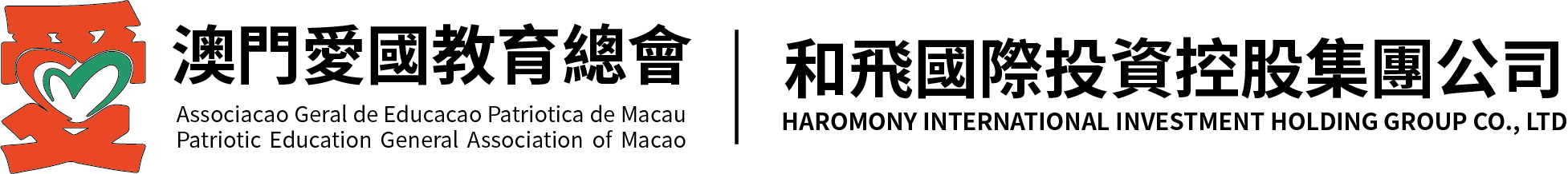 20_和飛國際投資控股集團公司.png